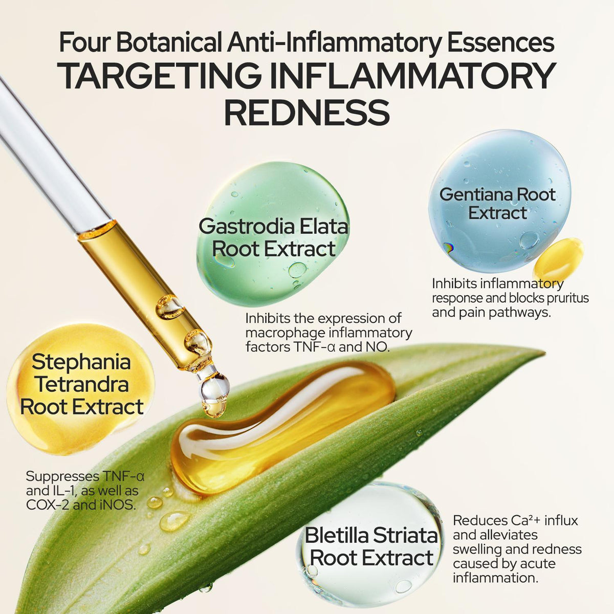 Chasteland—Tea Polyphenol Essence: Antioxidant and brightening, firms the skin, repairs the barrier, and soothes sensitivity; prevents dullness and aging while providing deep hydration; a facial care essence for both men and women Korean skincare