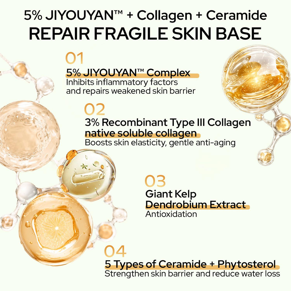 Chasteland -Daily-use facial oil and cream set—anti-wrinkle, smooths fine lines, brightens, nourishes, and repairs; the cream soothes the skin and reduces redness. Suitable for both men and women. "Vampire" facial oil.Korean skincare