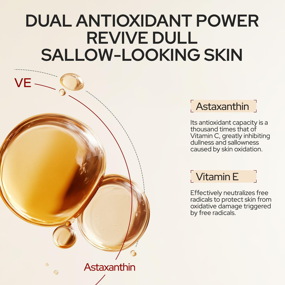 Chasteland-Deep Hydration Facial Serum Oil — anti-wrinkle, smooth fine lines, brightens and nourishes for repair; vampire serum face oil, unisex, firming campingessentials Korean skincare